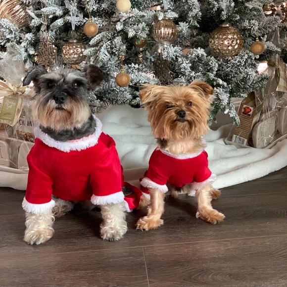 Meet your Posher, Cindy - Picture 3 of 4